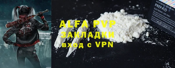 прущие грибы Мурманск