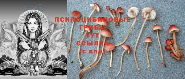 MESCALINE Костерёво